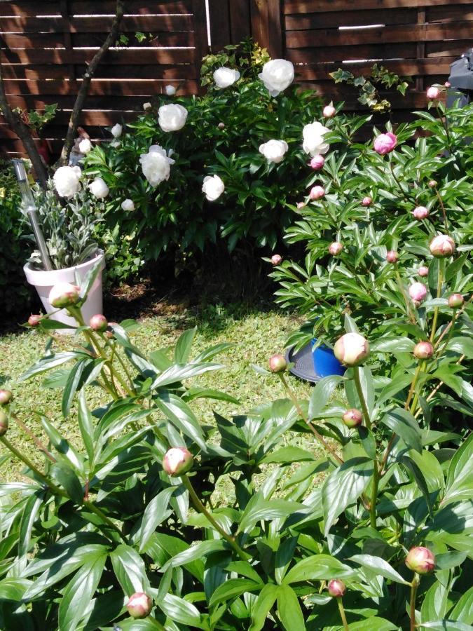 Ferienwohnung Mit Kleinem Garten Sonnenbuhl Exterior photo